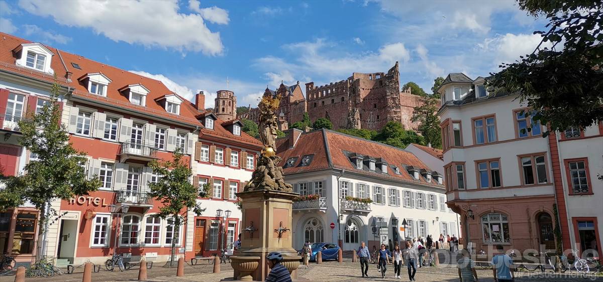 Burg-Heidelberg-Honor-View-20
