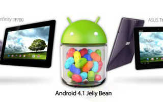 ASUS Transformer Jelly Bean