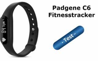 padgene-c6-test-banner