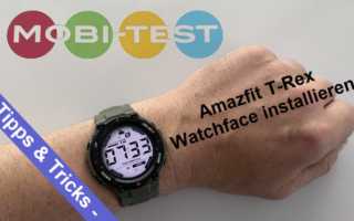 Amazfit T-Rex Watchface installieren BIN APK Test Kaufen Preis Deutschland Update Amazon Saturn Media Markt Daten Release Vergleich aptX HD Reset Anleitung Vergleich ANC Banner